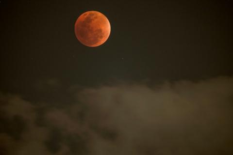 Une "Lune de sang" observée depuis Johannesburg le 7 septembre 2025