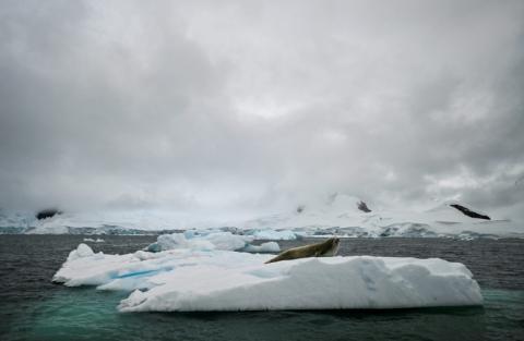 Le continent de glace de 14 millions de km2 - plus grand que l'Europe - est protégé par le traité sur l'Antarctique, signé en 1959