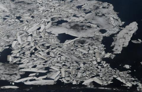 Der Eisschwund in den Polarmeeren könnte tiefgreifende Auswirkungen auf das dortige Ökosystem haben - und damit auch auf die Fischerei.