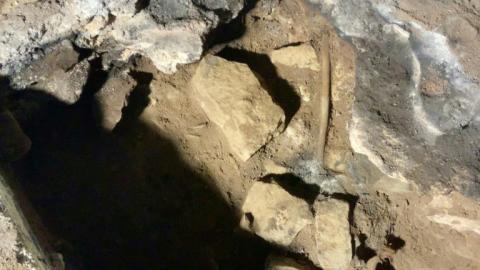 Ein Heilritual der australischen Ureinwohner ist Forschern zufolge über 12.000 Jahre und von hunderten Generationen quasi unverändert weitergegeben worden. Beweis dafür sind zwei leicht verbrannte und von Fett überzogene Holzstäbe, die in einer Höhle im Südosten Australiens gefunden wurden.