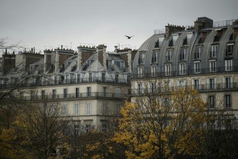 Un oiseau au-dessus des habitations près du jardin des Tuileries à Paris le 20 novembre 2017