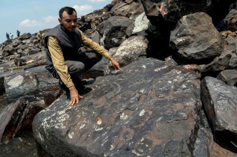 L'archéologue Jaime Oliveira montre des gravures rupestres anciennes réapparues sur le site de Praia das Lajes en raison de la sécheresse, le 21 octobre sur les rives du fleuve Negro à Manaus, dans le nord du Brésil