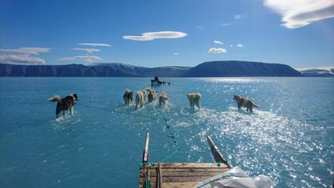 Die Ausdehnung des Meereises in der Arktis hat im Oktober einen neuen historischen Tiefstand für diesen Monat erreicht.
