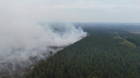 Das Ausmaß der Zerstörung durch Waldbrände könnte sich in Europa einer Studie zufolge wegen des Klimawandels in den kommenden Jahrzehnten nahezu verdreifachen.