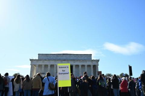 Manifestation pour défendre la science, devant le Lincoln Memorial à Washington, le 7 mars 2025