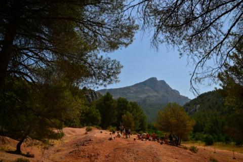 Des personnes cherchent des œufs de dinosaures sur le site de la montagne Sainte-Victoire, près d'Aix-en-Provence, le 25 juin 2025 dans les Bouches-du-Rhône