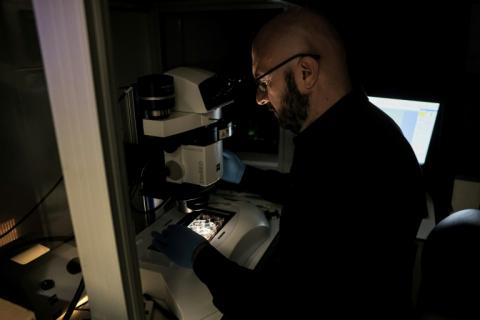 Le chercheur palestinien Jacob Hanna observe au microscope des structures semblables à un embryon de souris dans un laboratoire à Rehovot, le 4 août 2022 en Israël