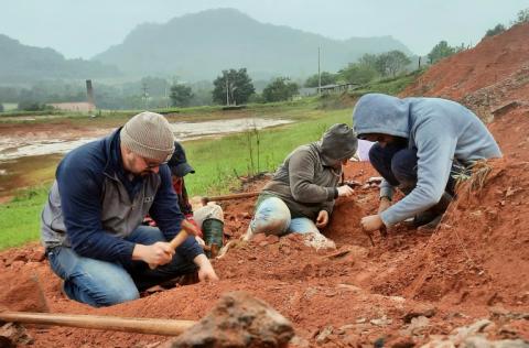 Die Flutkatastrophe im Süden Brasiliens hat ein etwa 200 Millionen Jahre altes Dinosaurier-Skelett freigelegt, das nach Angaben von Paläontologen "sehr gut erhalten" ist. Das Fossil wurde im Mai in der Nähe von São João do Polêsine gefunden.