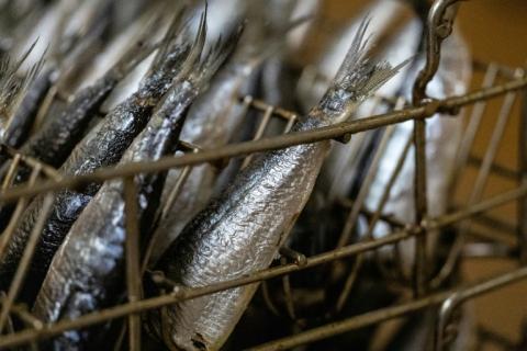 Des sardines à la conserverie Chancerelle de Douarnenez dans le Finistère, le 17 avril 2025