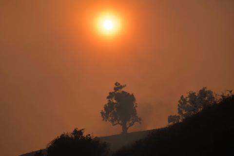 Von Waldbränden verursachte Luftverschmutzung in Kalifornien hat laut einer Studie binnen zehn Jahren zu mehr als 52.000 Todesfällen geführt.