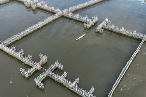 Des pièges à sédiments en bambou à Malolos, aux Philippines, le 13 octobre 2026