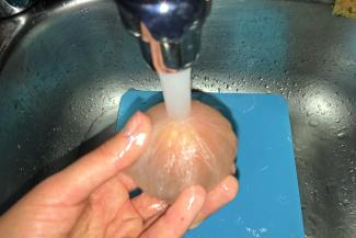 d. Säubere das Ei von etwaigen Schalenresten unter dem Wasserhahn.