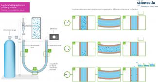 Chromatographie en phase gazeuse