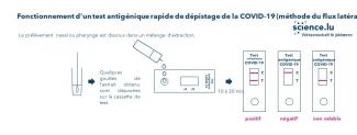 Le fonctionnement d'un autotest antigénique rapide de dépistage de la  Covid-19 - Lycée Louis Bascan