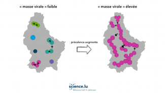 effet de percolation