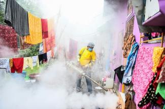 Bei der Suche nach einem Gegenmittel gegen das Dengue-Fieber hat sich ein Wirkstoff in ersten Versuchen als wirksam erwiesen. Ein sowohl an Affen als auch an Mäusen getesteter Wirkstoff habe "sehr ermutigende" Ergebnisse erzielt, hieß es.