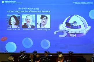 Die diesjährige Nobelpreiswoche startet am Montag mit der Kategorie Medizin. Die Preisträgerin oder der Preisträger werden um 11.30 Uhr vom Nobelkomitee in Stockholm verkündet.