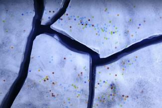 Jährlich gelangt durch Nutzung von Spülschwämmen in Küchen laut einer Untersuchung tonnenweise Mikroplastik in Gewässer und Böden. In der Gesamtökobilanz des Abwaschens per Hand spielt demnach aber der Wasserverbrauch die ausschlaggebende Rolle.