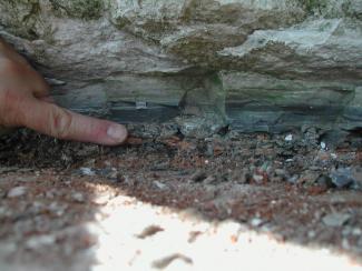 Photo non datée montrant des sédiments formés il y a 66 millions d'années à Stevns Klint, au Danemark, et contenant les retombées de l'impact sur Terre de l'astéroïde ayant éradiqué les dinosaures