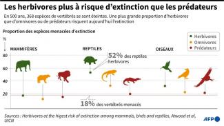 Les herbivores plus à risque d'extinction que les omnivores et les prédateurs