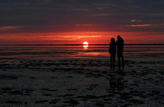 Die Sommermonate waren in der Nord- und Ostsee deutlich zu warm. Das teilte das Bundesamt für Seeschifffahrt und Hydrographie (BSH) am Montag in Hamburg mit. Es warnte vor den Folgen für die Umwelt.