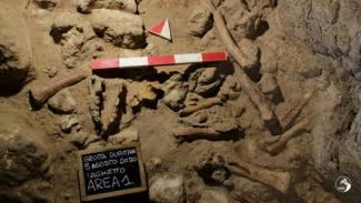 Forscher haben in einer Höhle in Italien die Überreste von neun Neandertalern entdeckt. In einem Fall seien die fossilen Knochen bis zu 100.000 Jahre alt, teilte das Kulturministerium mit. Die acht übrigen Neandertaler lebten demnach vor 50.000 bis 68.000 Jahren.