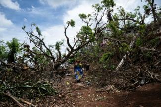 Les dégâts provoqués par le cyclone Chido à Mamoudzou, le 2 janvier 2025 à Mayotte