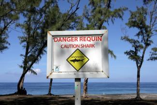 Sur la plage de l'Etang-Salé dans l'île de la Réunion, en mars 2019