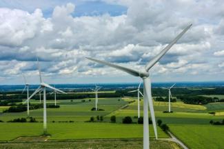 Viele Fledermausarten werden durch Windräder in der Nähe von Gewässern verdrängt. Sie könnten dadurch schlechter mit heißen und trockenen Sommern zurechtkommen, wie das Leibniz-Institut für Zoo- und Wildtierforschung mitteilte.