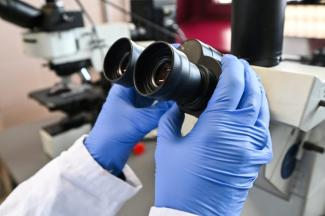 Une étude révèle que l'origine des doigts est à chercher au sein du cloaque des poissons, l'organe regroupant les systèmes intestinal, excréteur et reproducteur