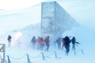 Die Ukraine hat erstmals seit 2012 wieder Saatgut im arktischen Saatgut-Tresor auf Spitzbergen eingelagert. Nach Angaben des norwegischen Landwirtschaftsministeriums wurden 773 Proben deponiert, darunter Sonnenblumen, Getreide und Buchweizen.