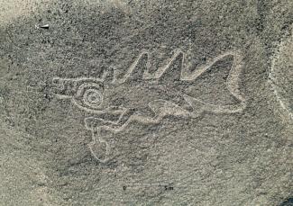 Die rund 2000 Jahre alten Scharrbilder in der Nazca-Wüste von Peru sind weltberühmt - und es gibt deutlich mehr als bisher gedacht: Mit Hilfe von Künstlicher Intelligenz entdeckten Forscher gut 300 weitere dieser geheimnisvollen Erdzeichnungen.