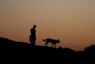 D'où viennent les chiens et depuis quand accompagnent-ils l'être humain ? De nouvelles études établissent leur présence en Europe il y a près de 16.000 ans, soit 5.000 ans plus tôt que ce que les précédentes recherches évaluaient