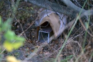 Une cage déposée pour piégéer des rongeurs dans diverses zones boisées autour de la ville touristique d'Ushuaïa, dont le Parc national de la Terre de Feu, le 18 mai 2026
