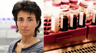 Fay Betsou and biological sampels