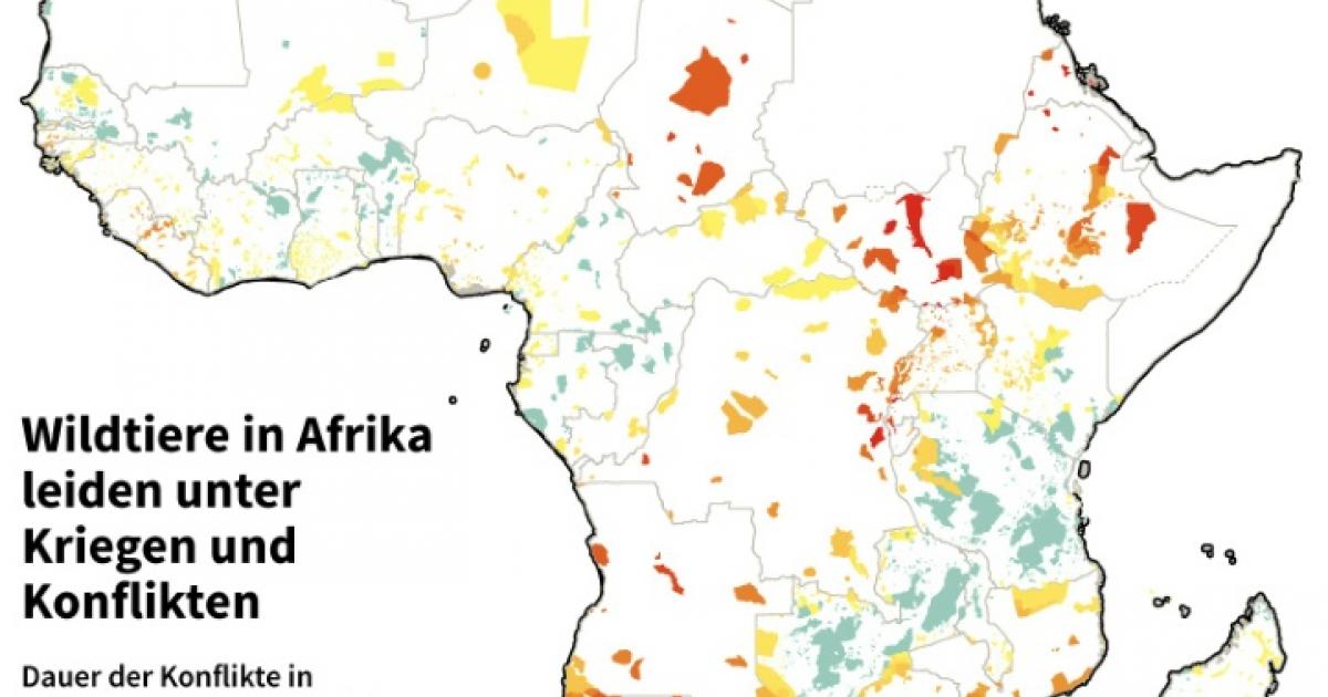 Studie Wildtiere In Afrika Leiden Stark Unter Bewaffneten Konflikten