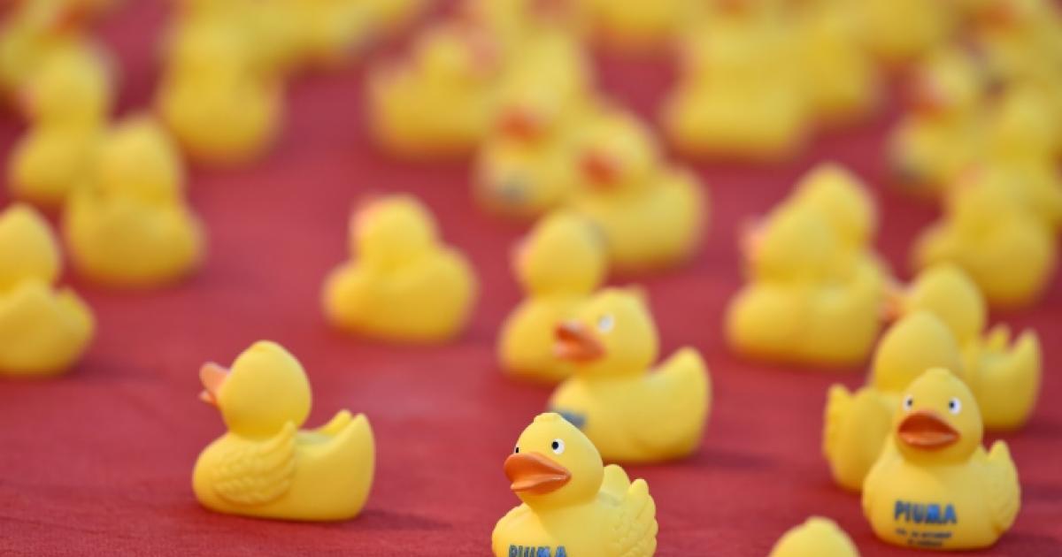 Science décalée : les vilains petits canards de nos baignoires